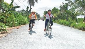 HCM City musters resources for new rural areas’ construction - ảnh 1